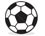 Sports Section