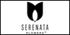 Exclusive Flowers from Serenata