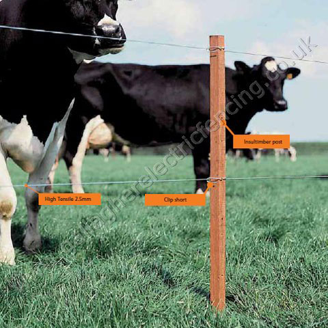 ELECTRIC HORSE FENCING SUPPLIES | ELECTRIC FENCE