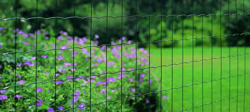 Garden Wire