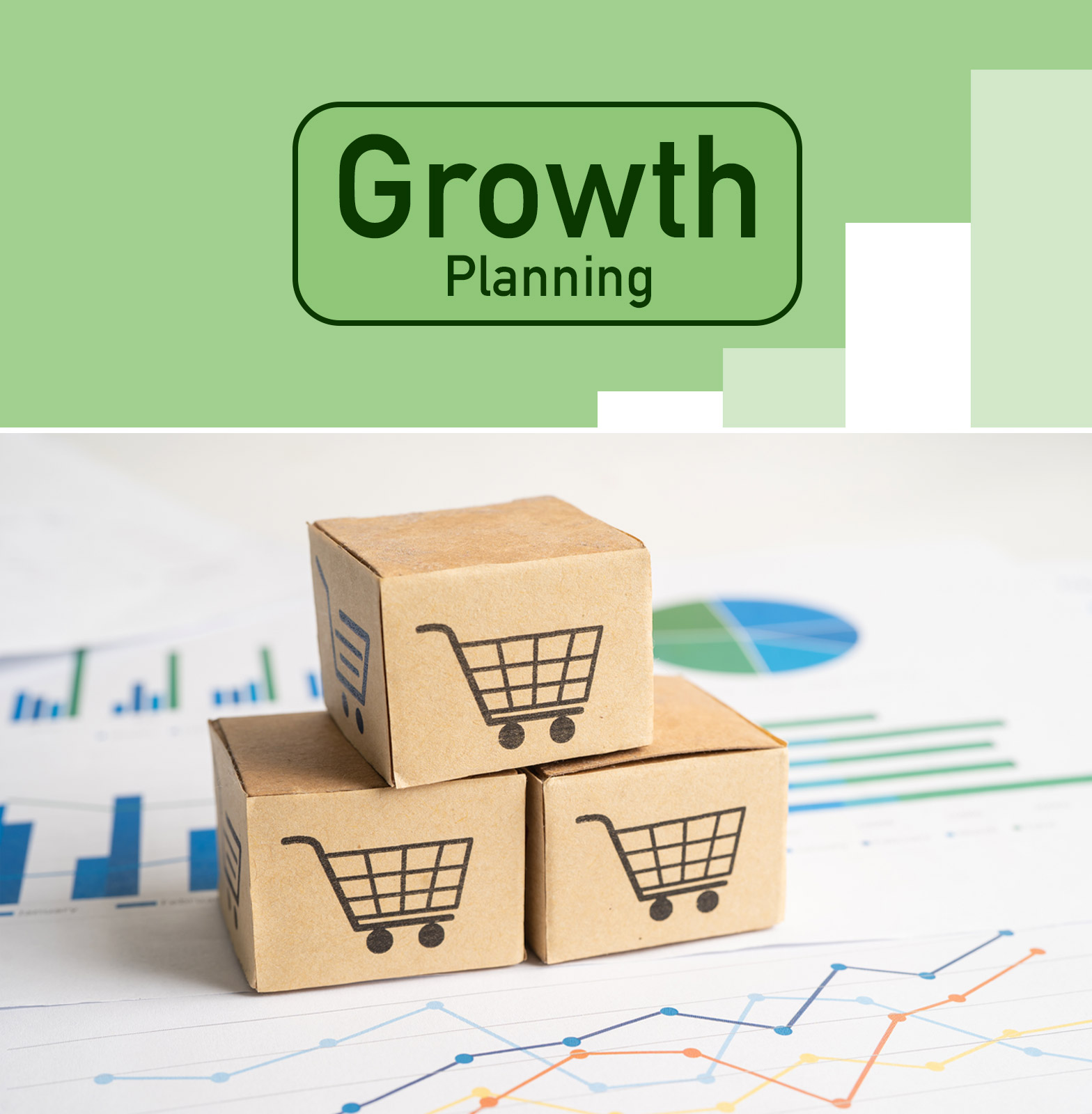 Growth planning for E-commerce