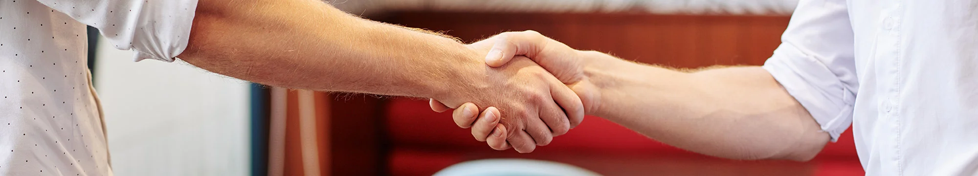 /img/pricing/handshake.webp