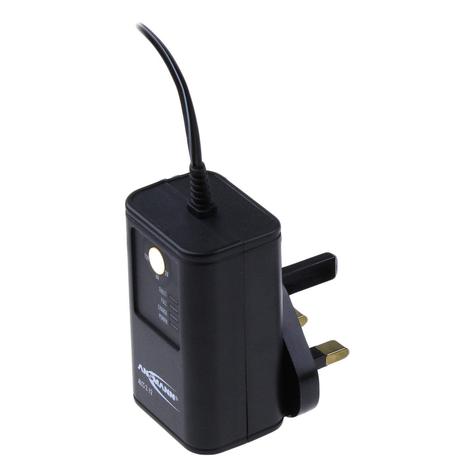 Ansmann ALCS 2-12/0.4 Charger