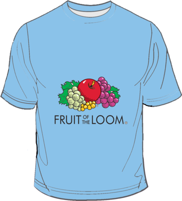 Fruit of the Loom Screen Stars Azure Blue