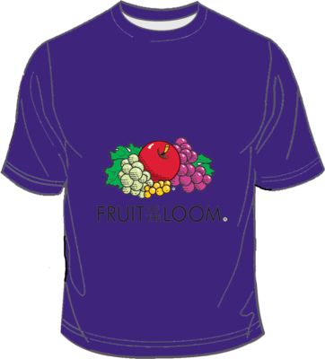 Fruit of the Loom Screen Stars Purple