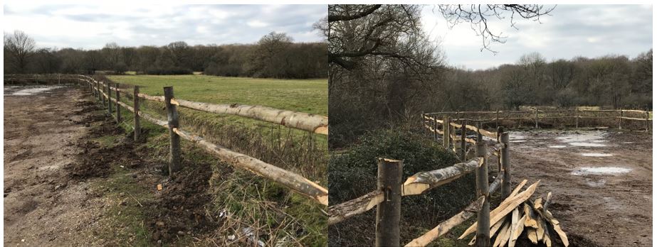 Rustic Post and Rail Fencing Essex