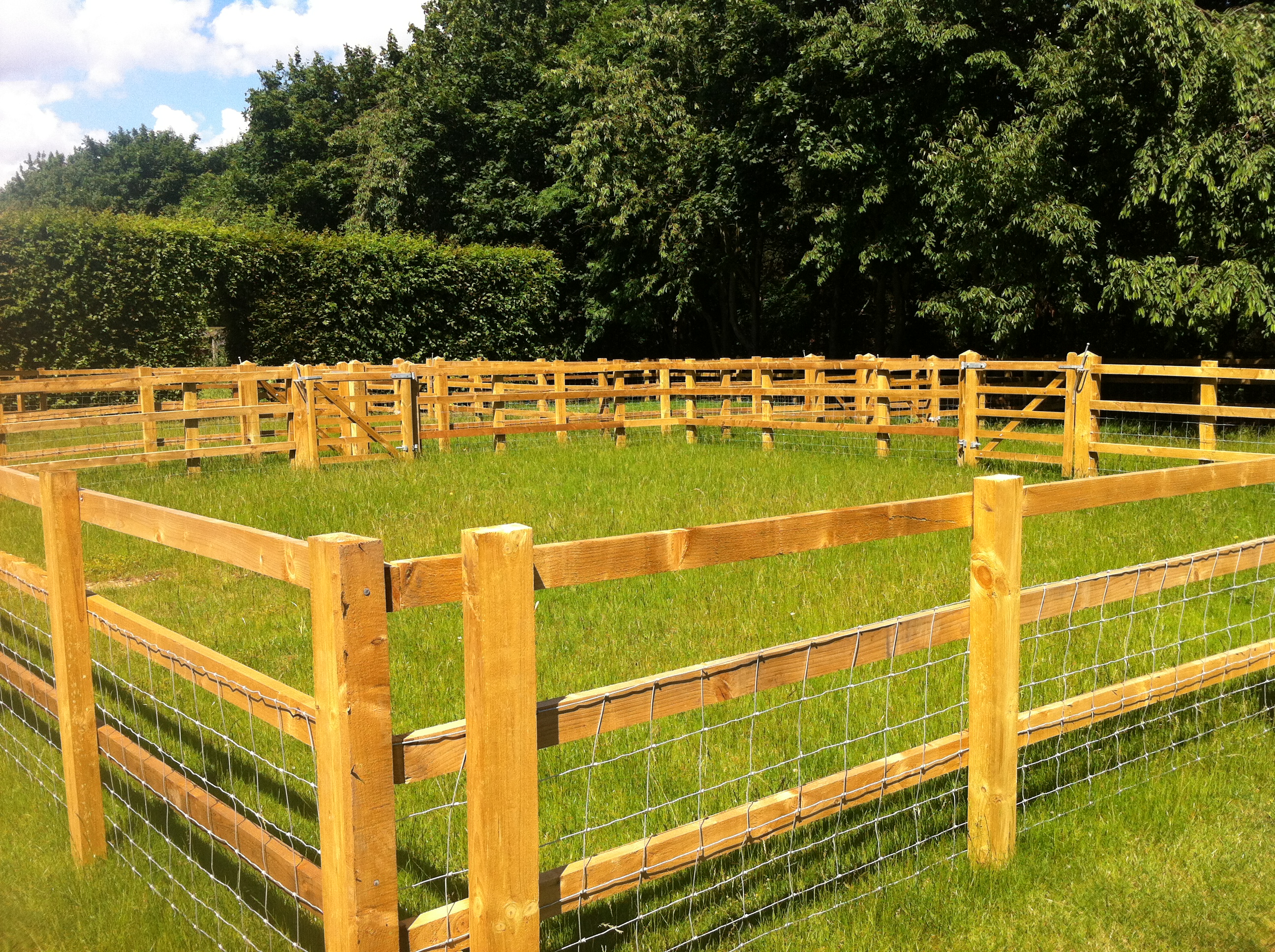 Post and Rail Fencing Enclosure