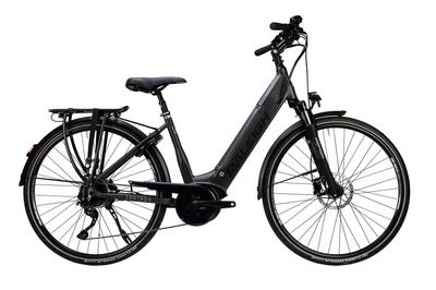 Raleigh Centros Low Step Hub Gear