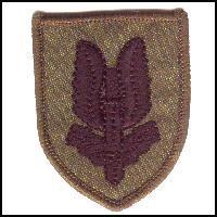Combat Subdued Special Air Service Berret Badge